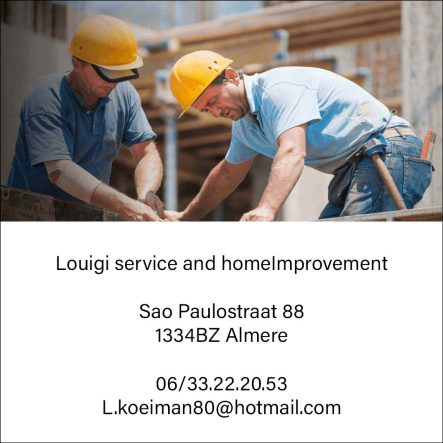 Louigi service and homeImprovement 